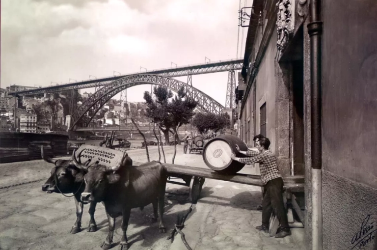 A história do Vinho do Porto
