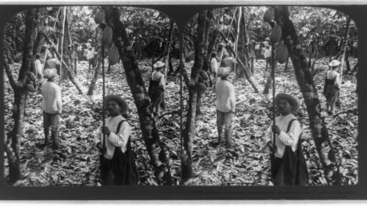 A História do Chocolate: do Cacau Sagrado aos Doces Modernos