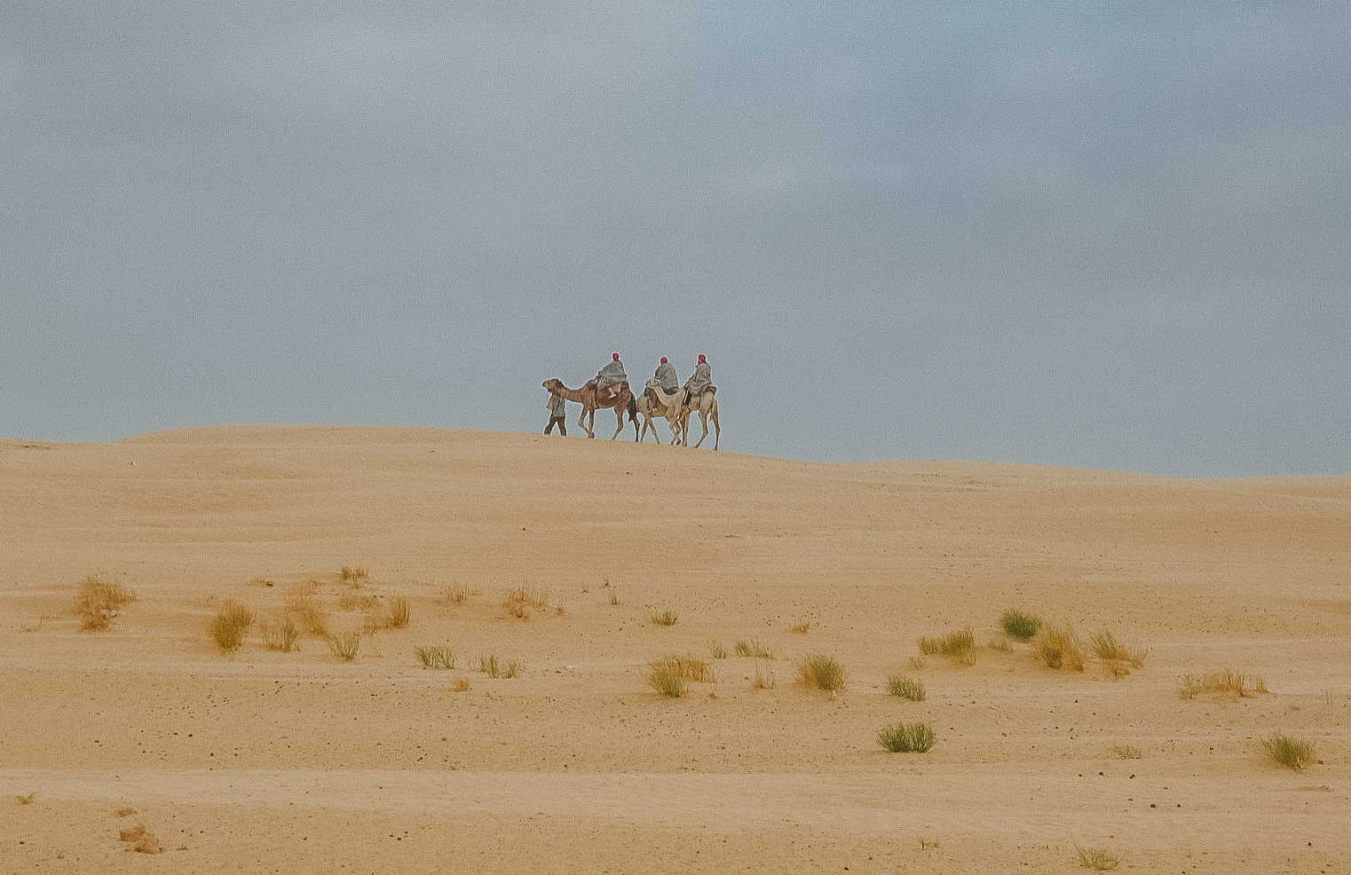 Caravana de camelos a atravessar o deserto