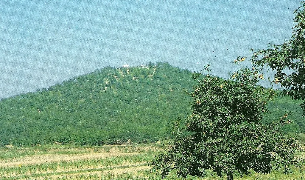 Monte funerário arborizado do mausoléu de Qin Shi Huang