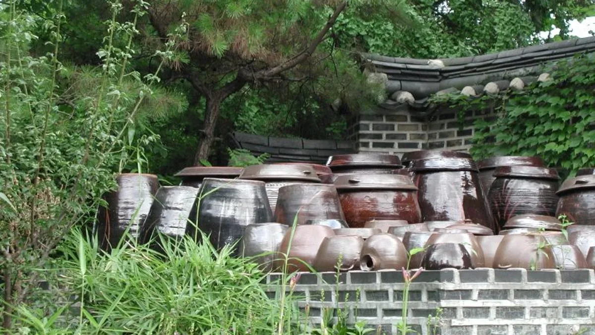 Kimchi: A História de um Alimento Coreano Fermentado